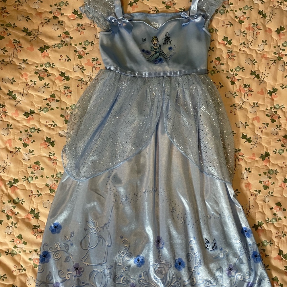 Blue Princess Dress with Glitter Details